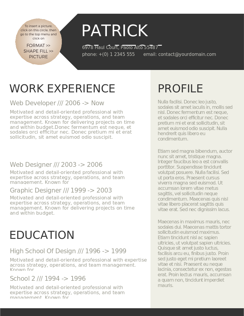 Smart and Professional CV 2 – Vorschau